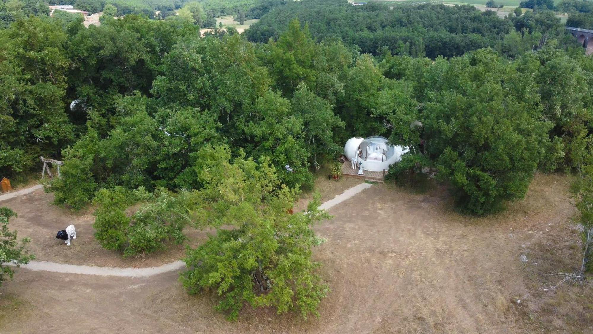 Coeur De Bull' Villa Cahuzac-sur-Vere Bilik gambar