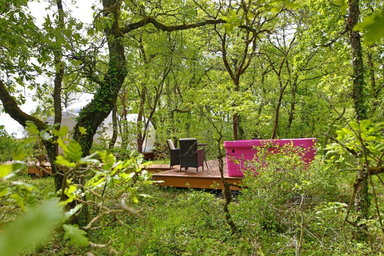 Coeur De Bull' Villa Cahuzac-sur-Vere Luaran gambar