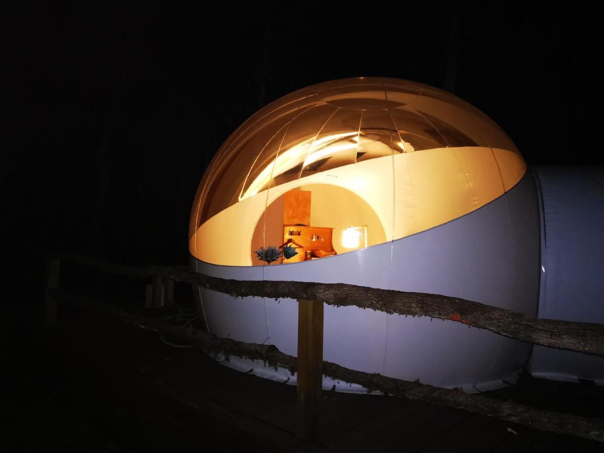 Coeur De Bull' Villa Cahuzac-sur-Vere Luaran gambar